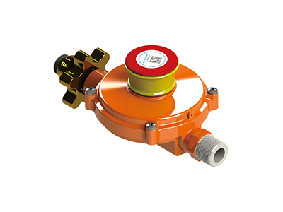 陝西(xi)瓶裝液化石(shí)油氣調壓器(qi) 陝西瓶裝(zhuang)液化石油氣(qì)調壓器