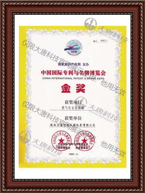 中(zhong)國國際..與..博覽會(huì)金獎