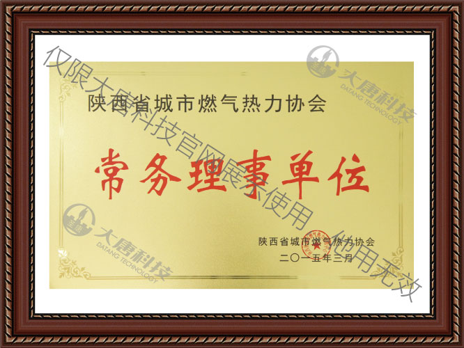 陝西省城市燃氣(qi)熱力協會常務理(li)事單位